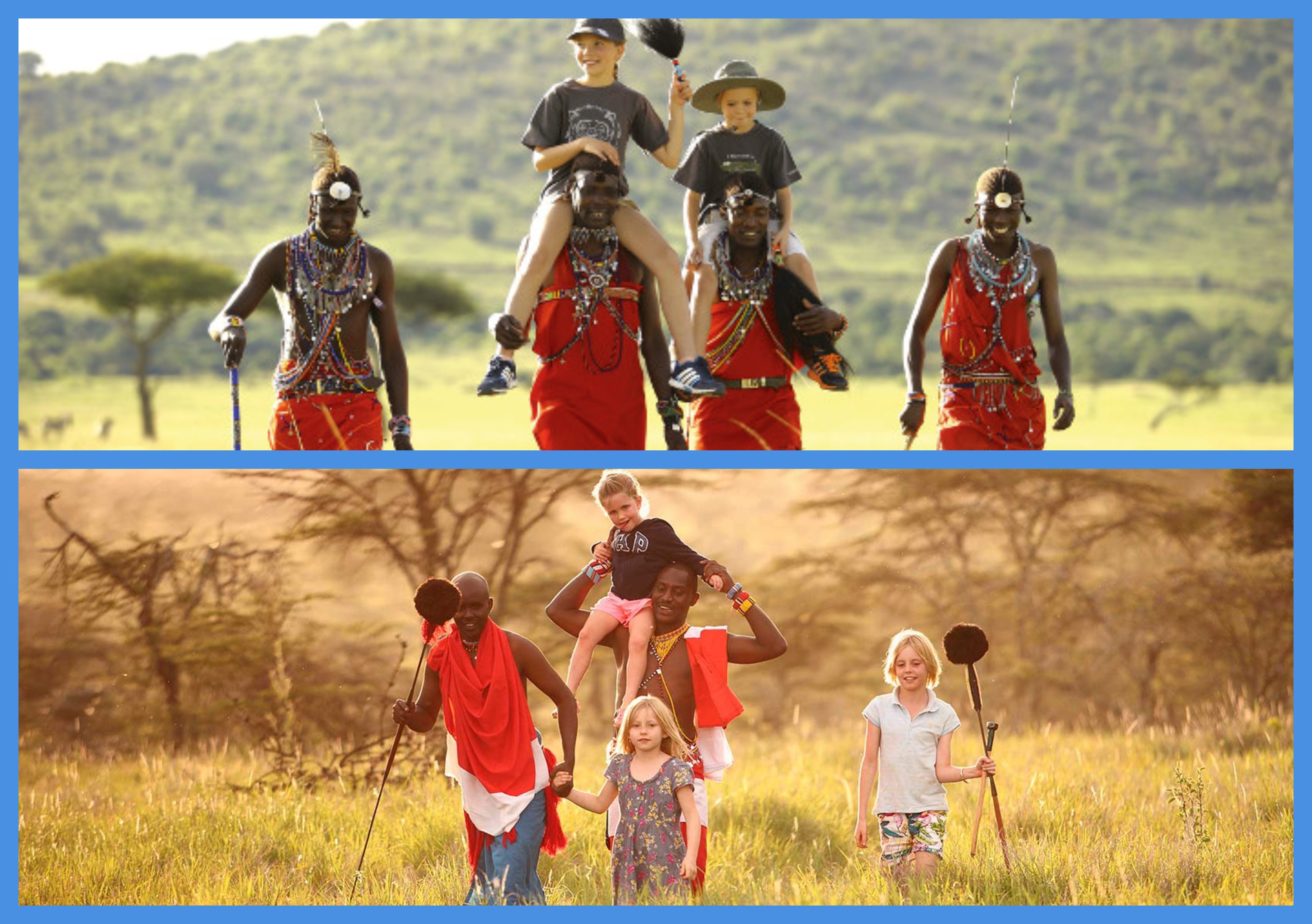 African Safari,Safari holidays in africa