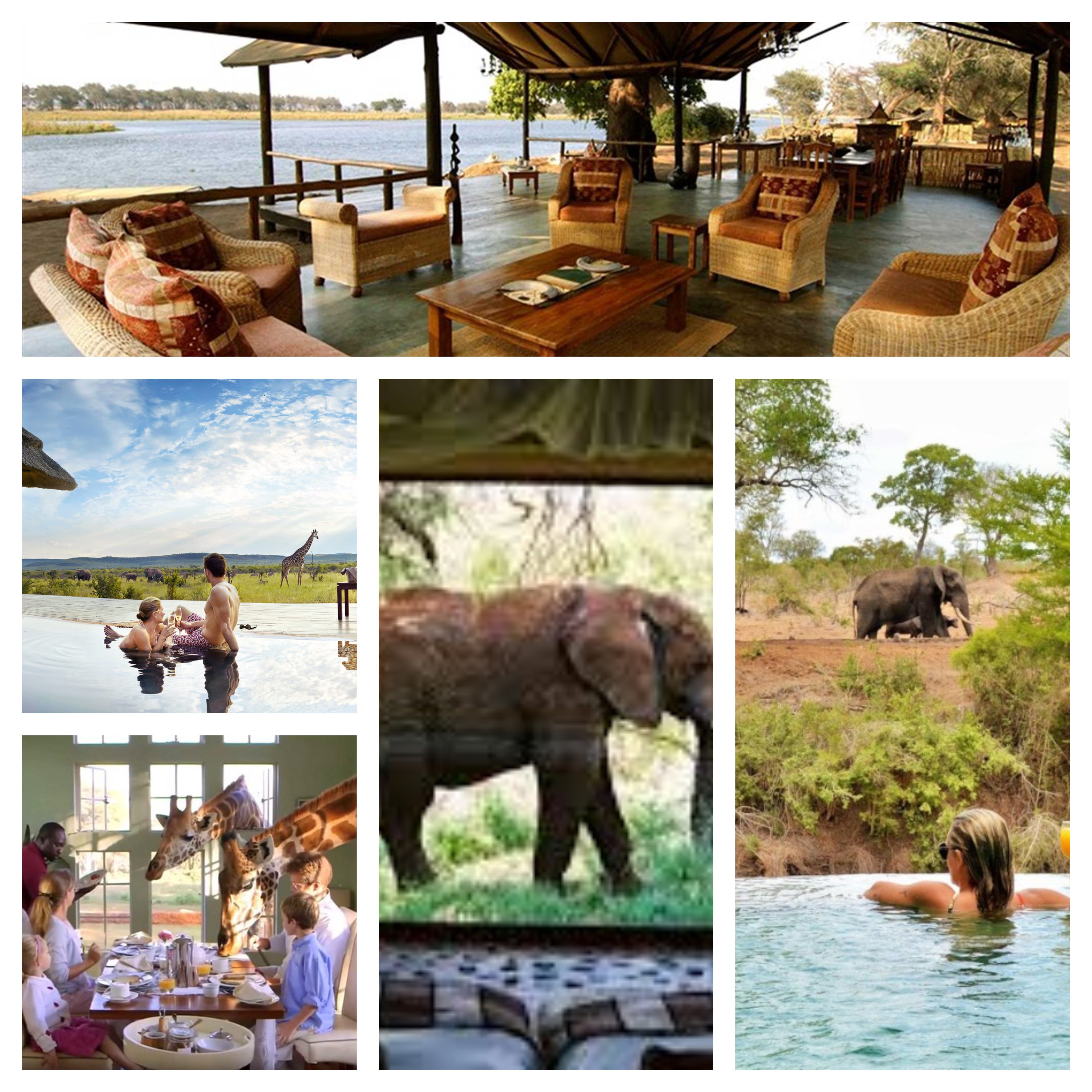 Safari Lodges