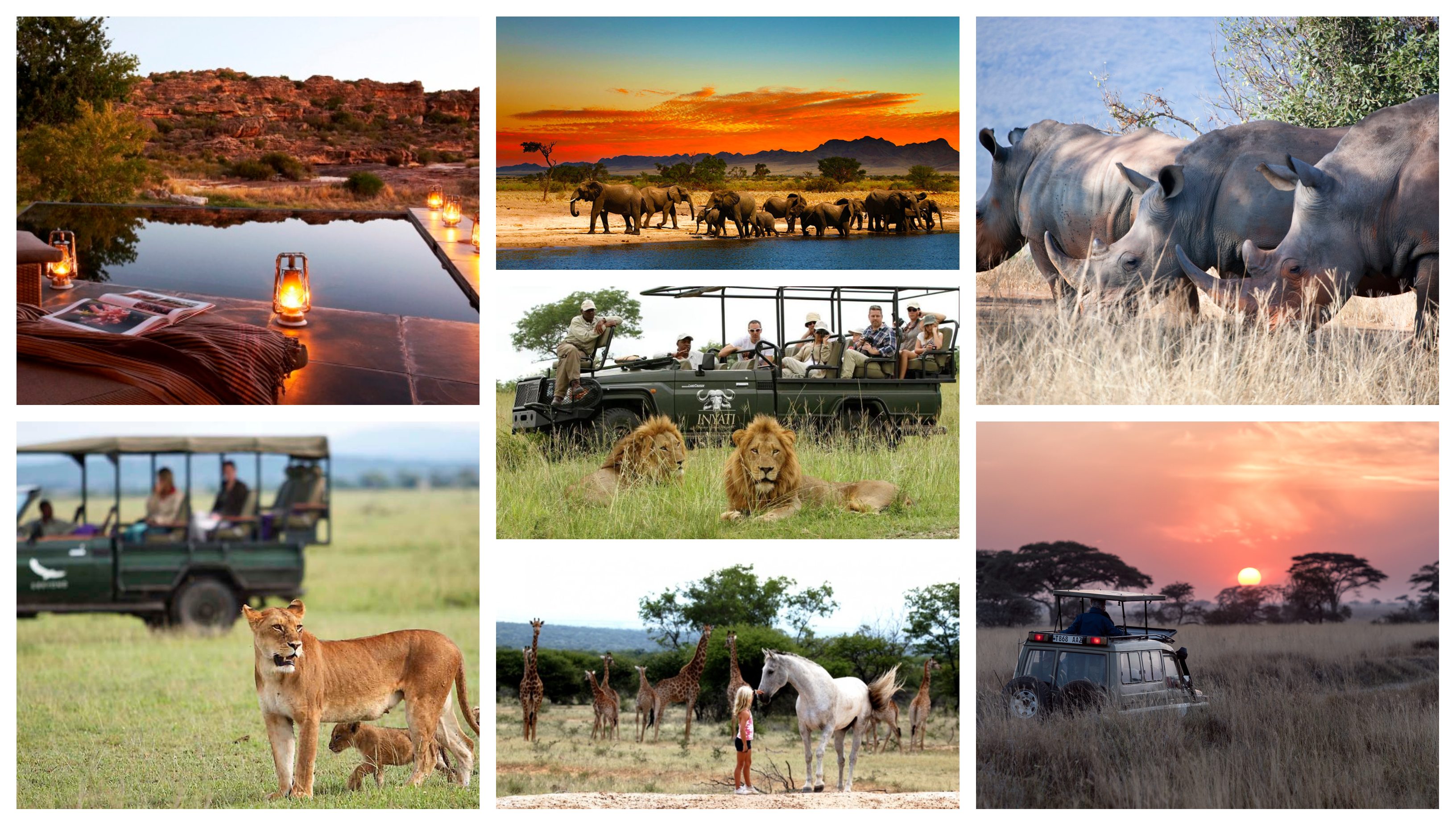 Safari Holidays in Africa | Safari Trip to Africa