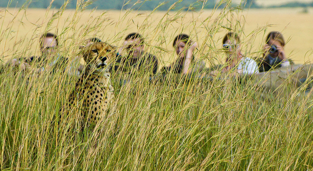 Walking Safari, Safari holidays in Africa