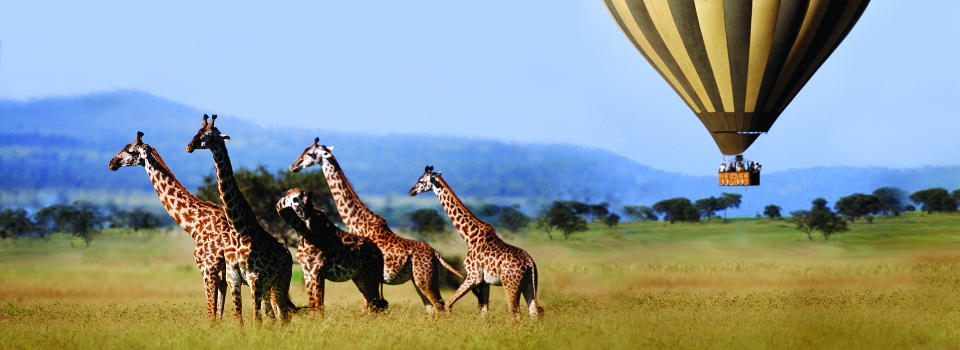 Balloon Safari, Safari holidays in Africa