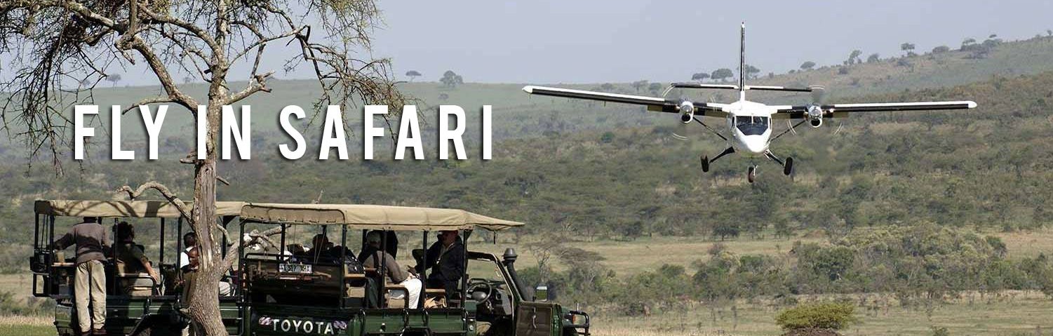 Family Safari, Safari holidays in africa
